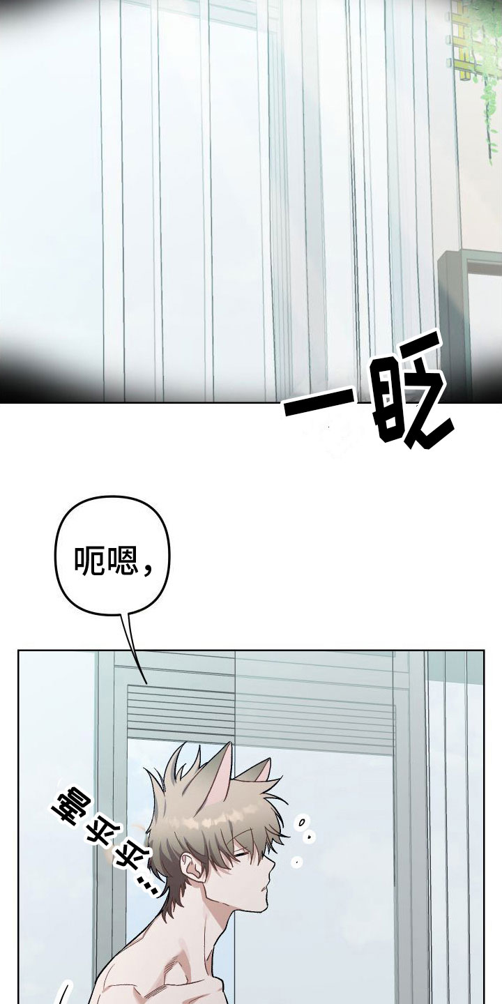 第9章：谁会想要我呢8