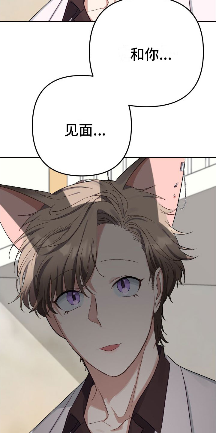 第3章：见面5