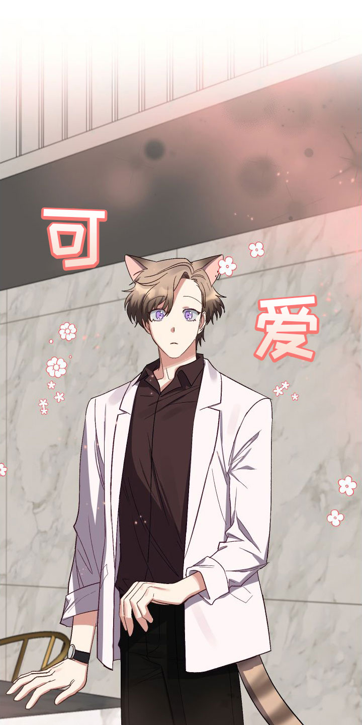 第3章：见面18