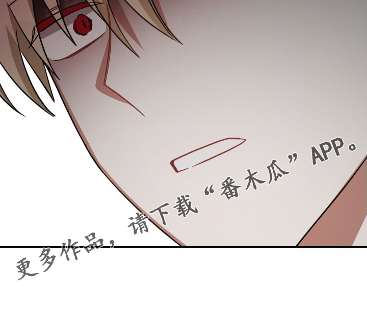 第112章：真正的价值23