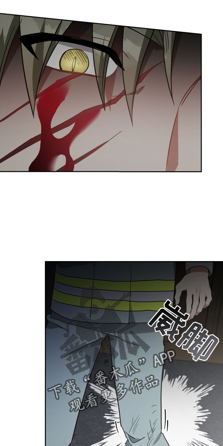 第112章：真正的价值5