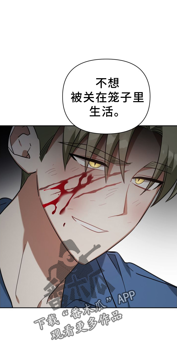 第114章：劝说19