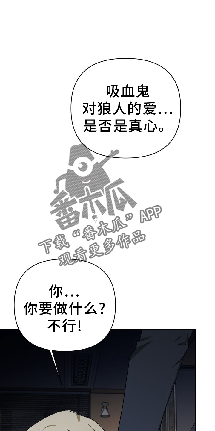 第112章：真正的价值17