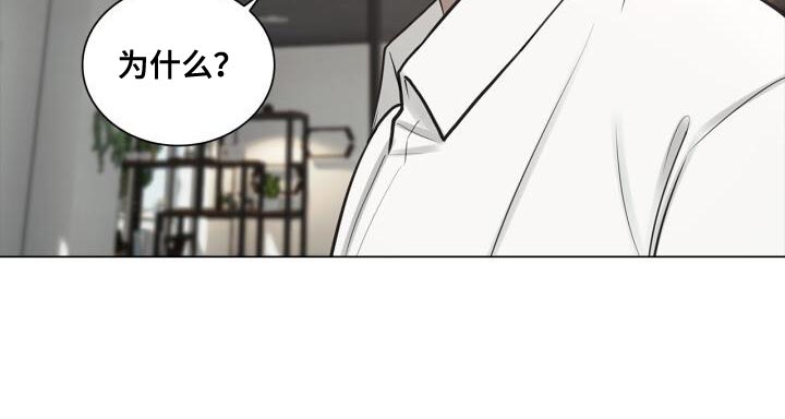 第53章：胸怀11