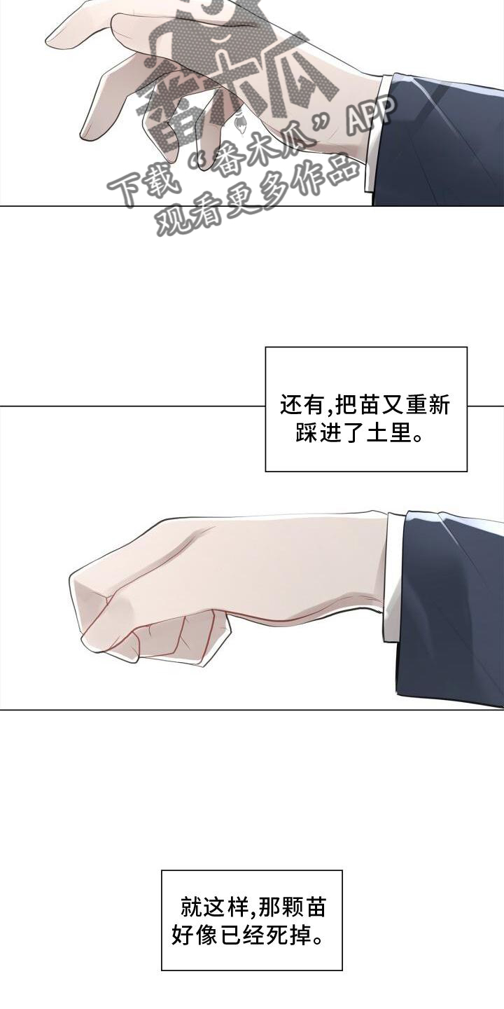 第31章：抓住17
