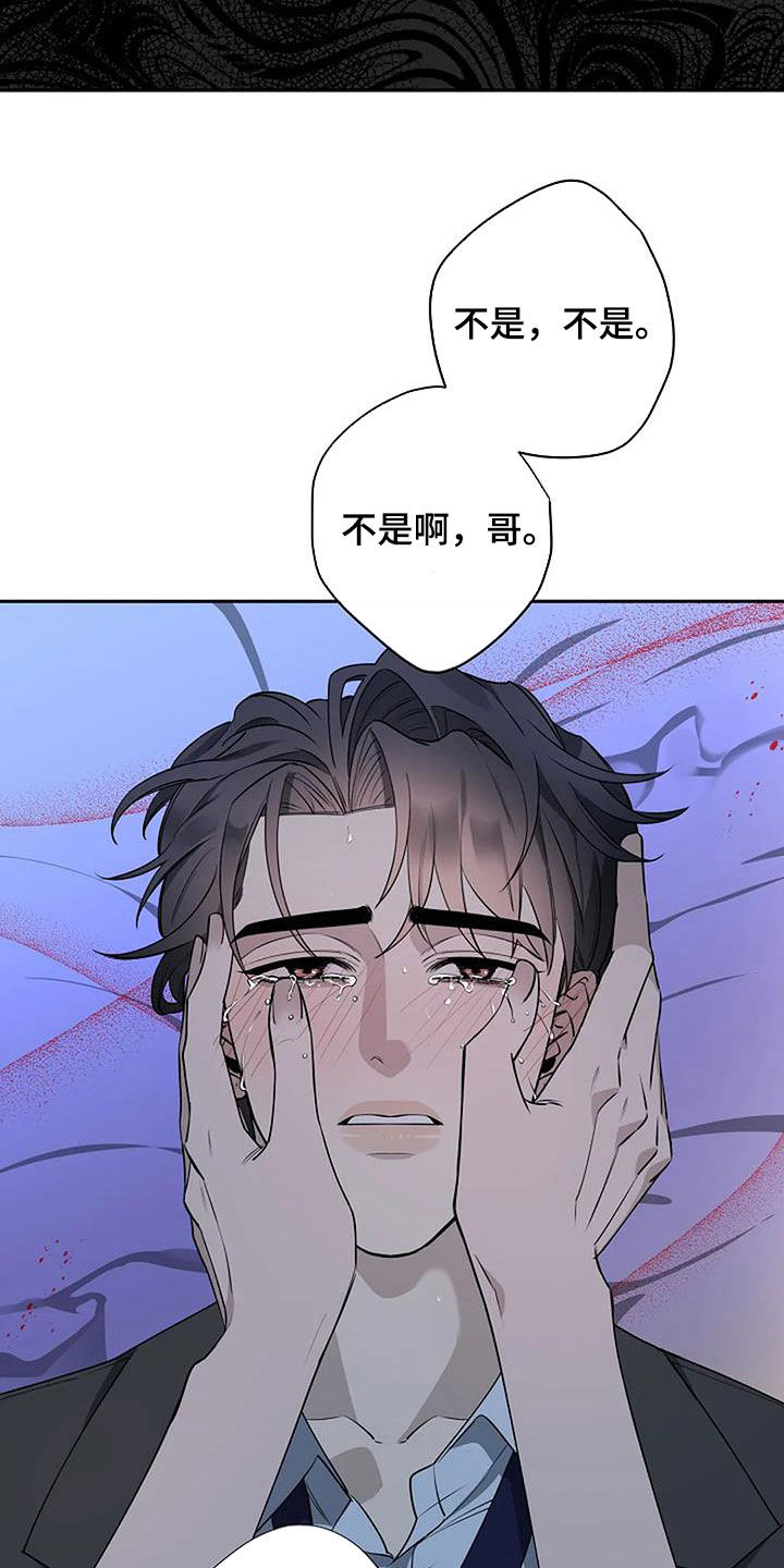 第71章：你很可爱16