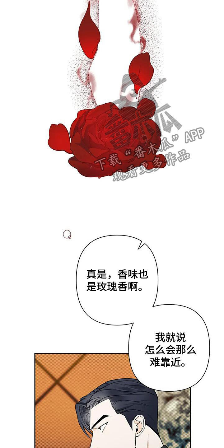 第68章：玫瑰香11