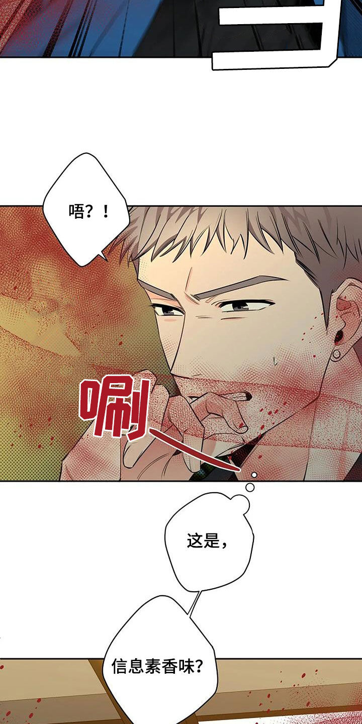 第68章：玫瑰香19