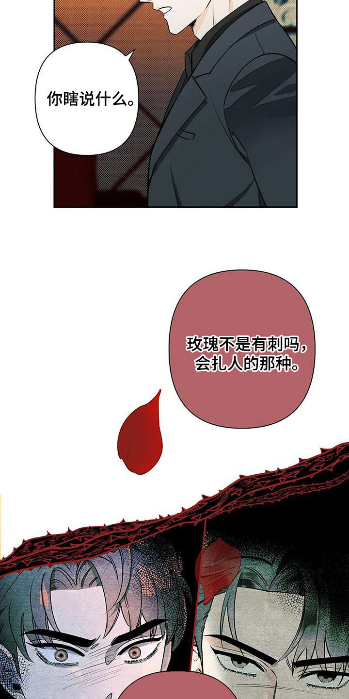 第68章：玫瑰香12