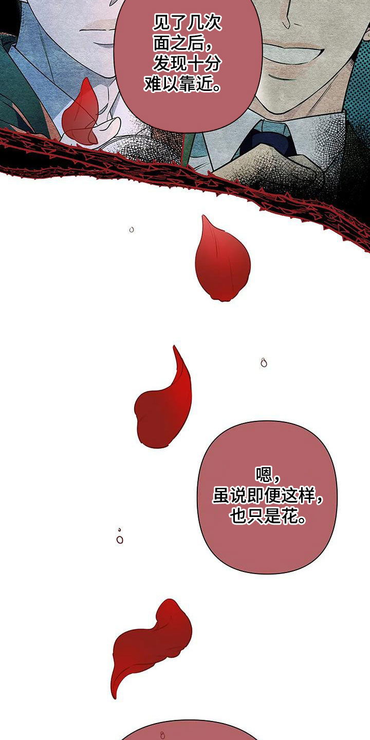 第68章：玫瑰香13