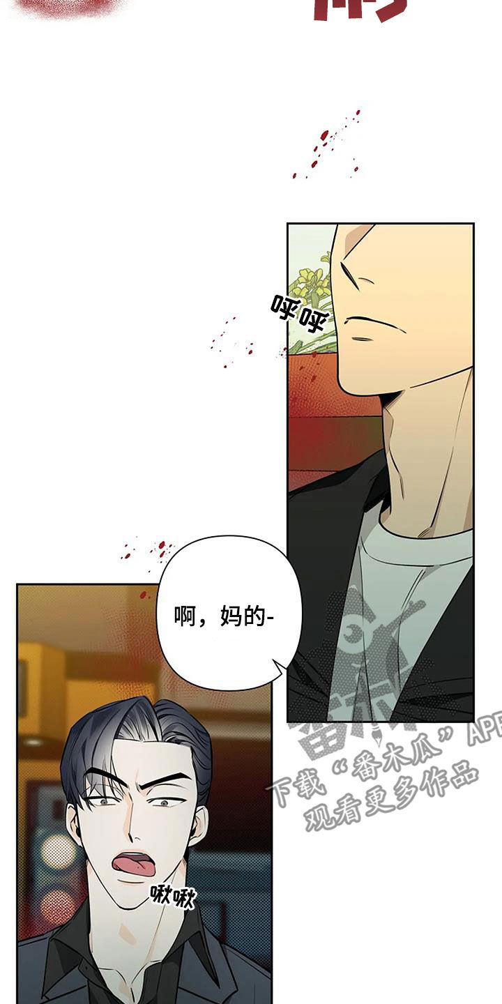 第68章：玫瑰香5