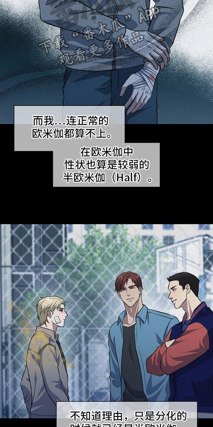 第5章：替代品3