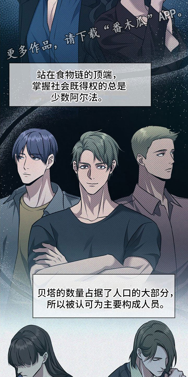 第5章：替代品1