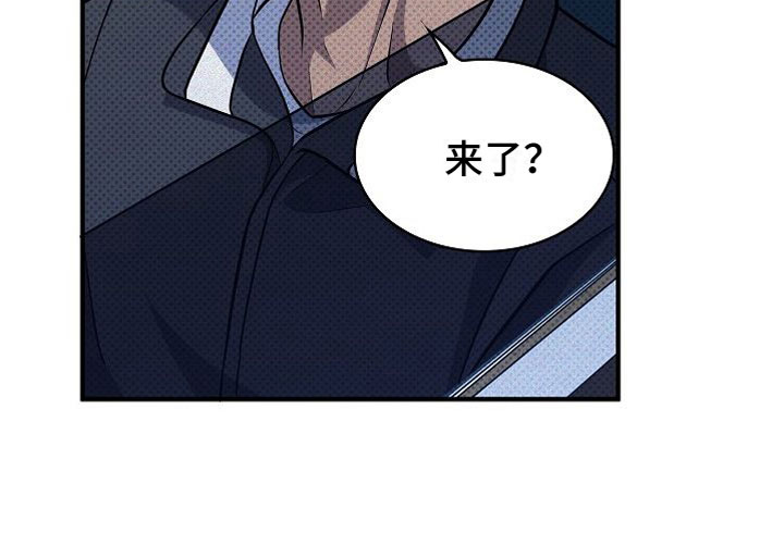 第5章：替代品18