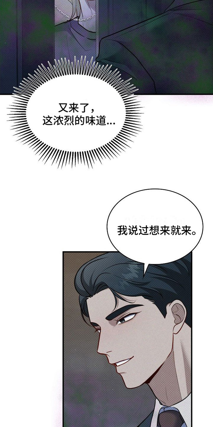 第11章：又来了6