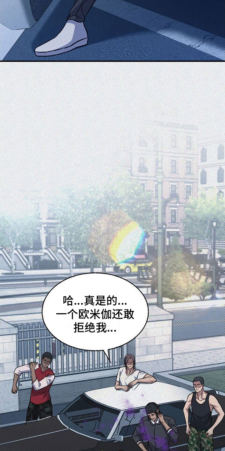 第5章：替代品26