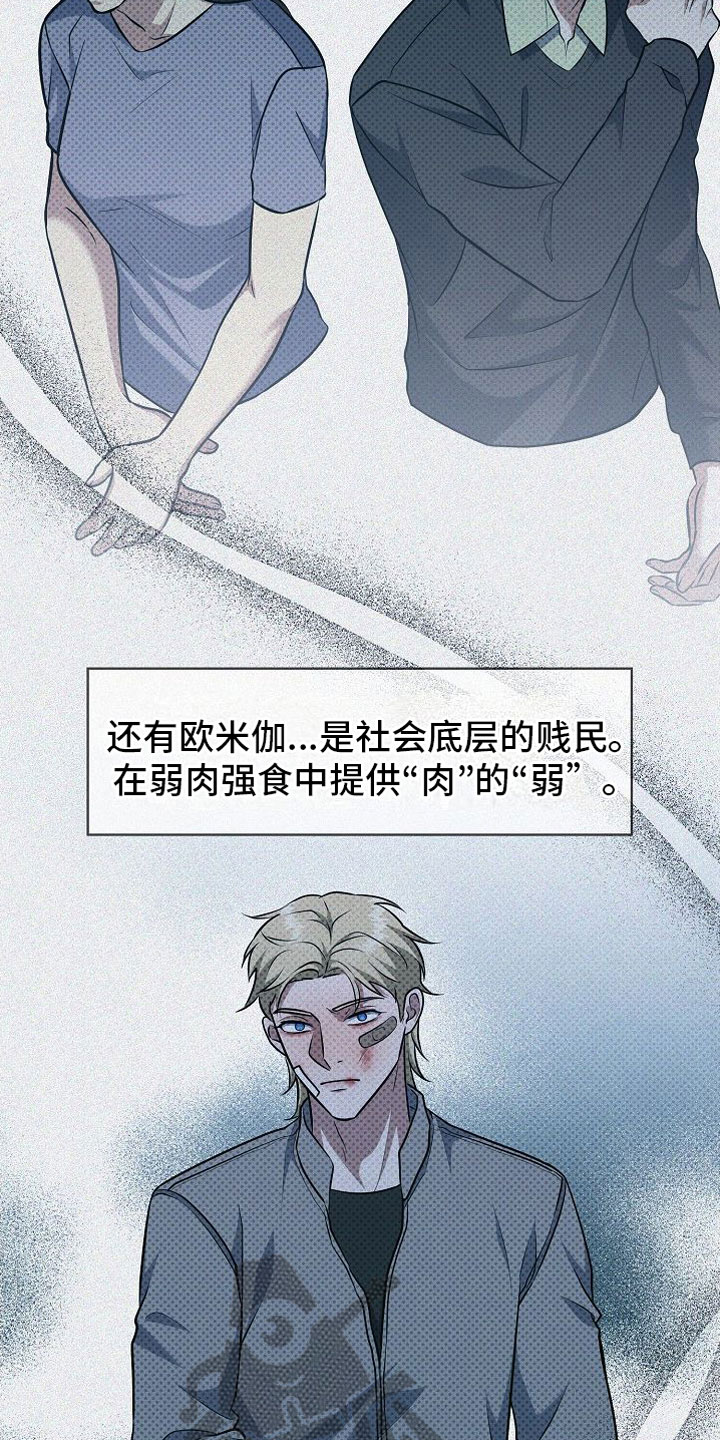 第5章：替代品2