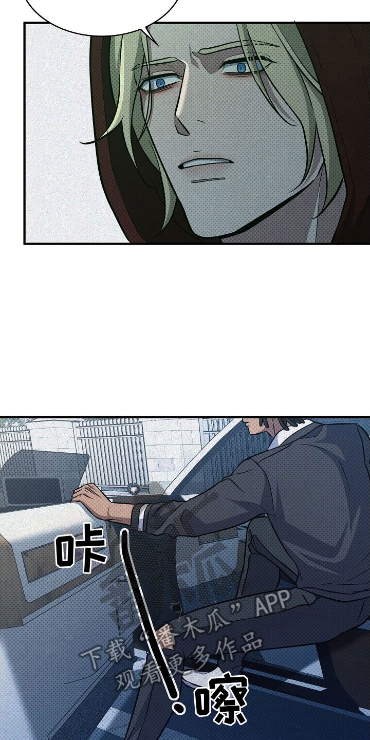 第5章：替代品25