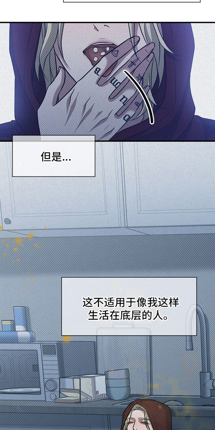 第5章：替代品13