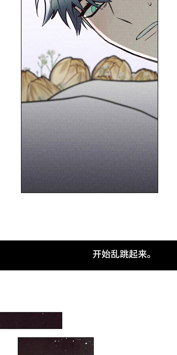 第9章：表演10