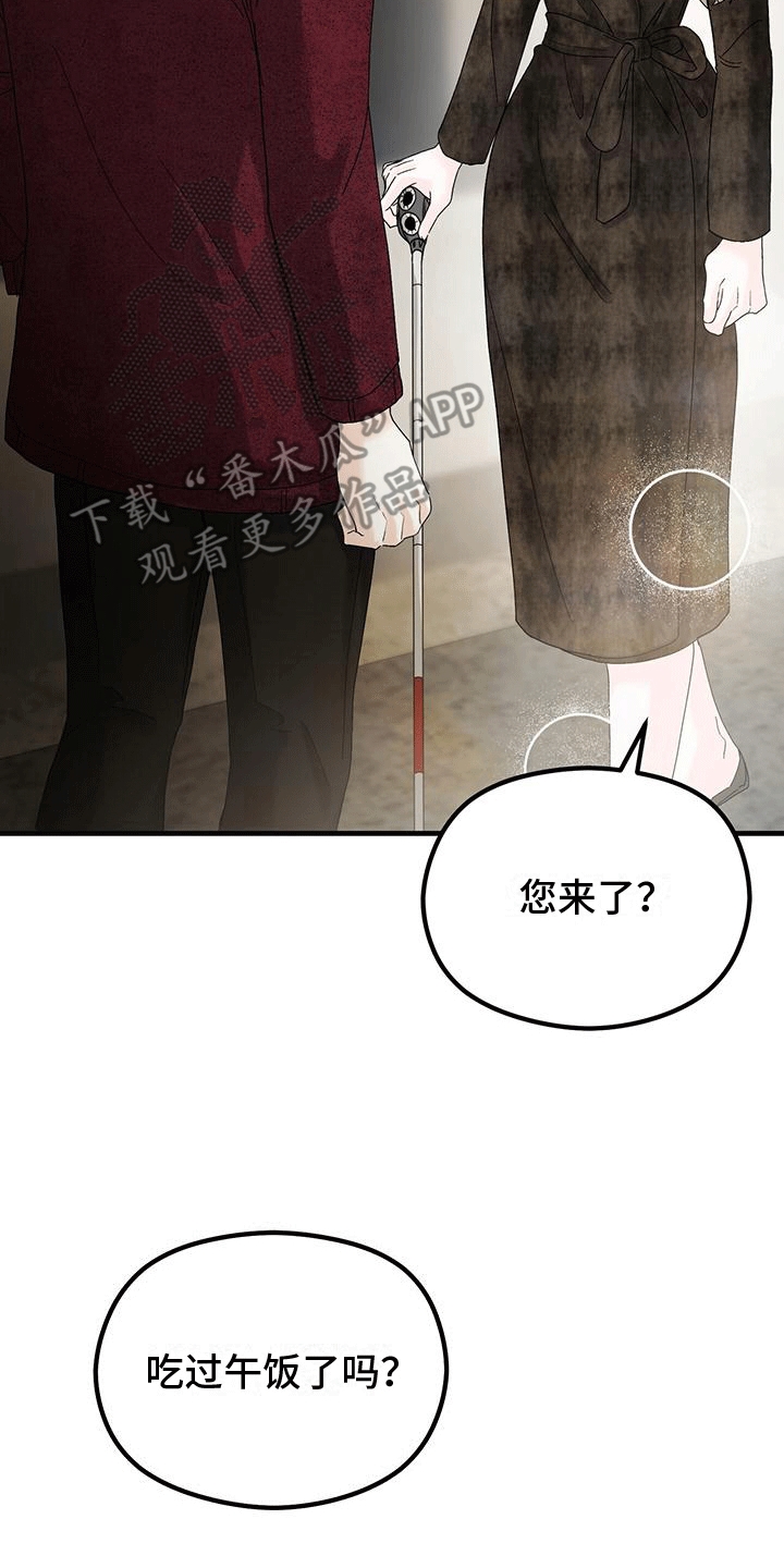 第23章：动物园32
