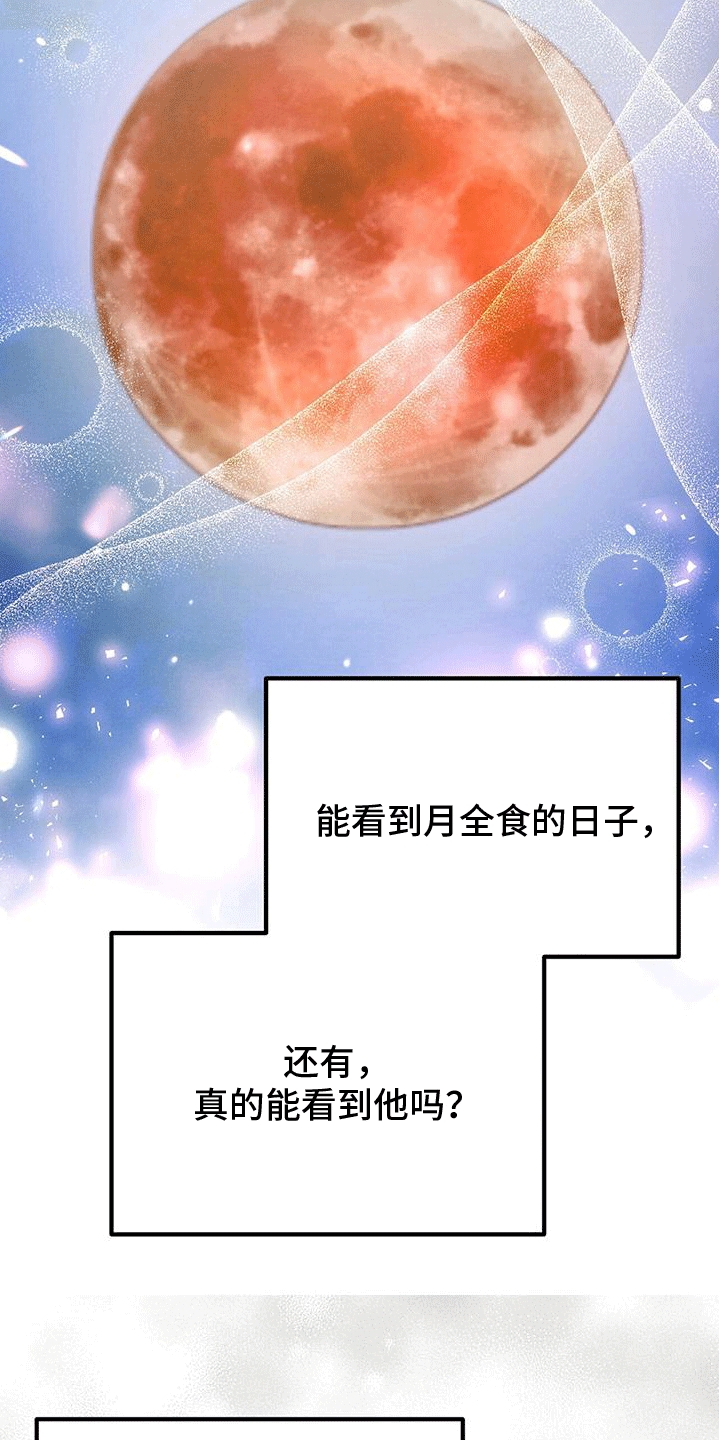 第28章：玫瑰花14