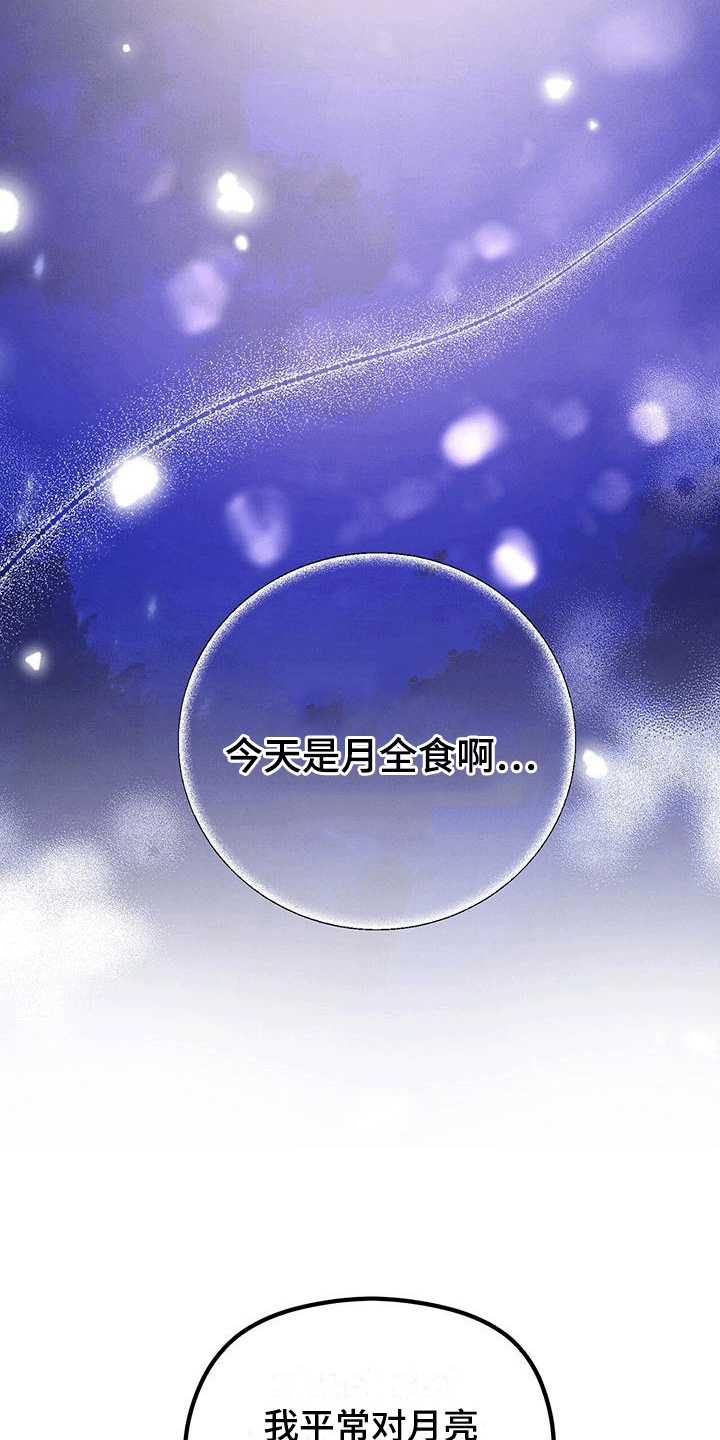 第27章：月全食13