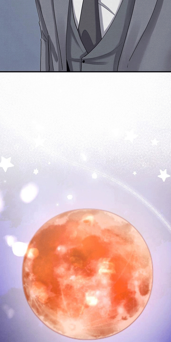 第27章：月全食12