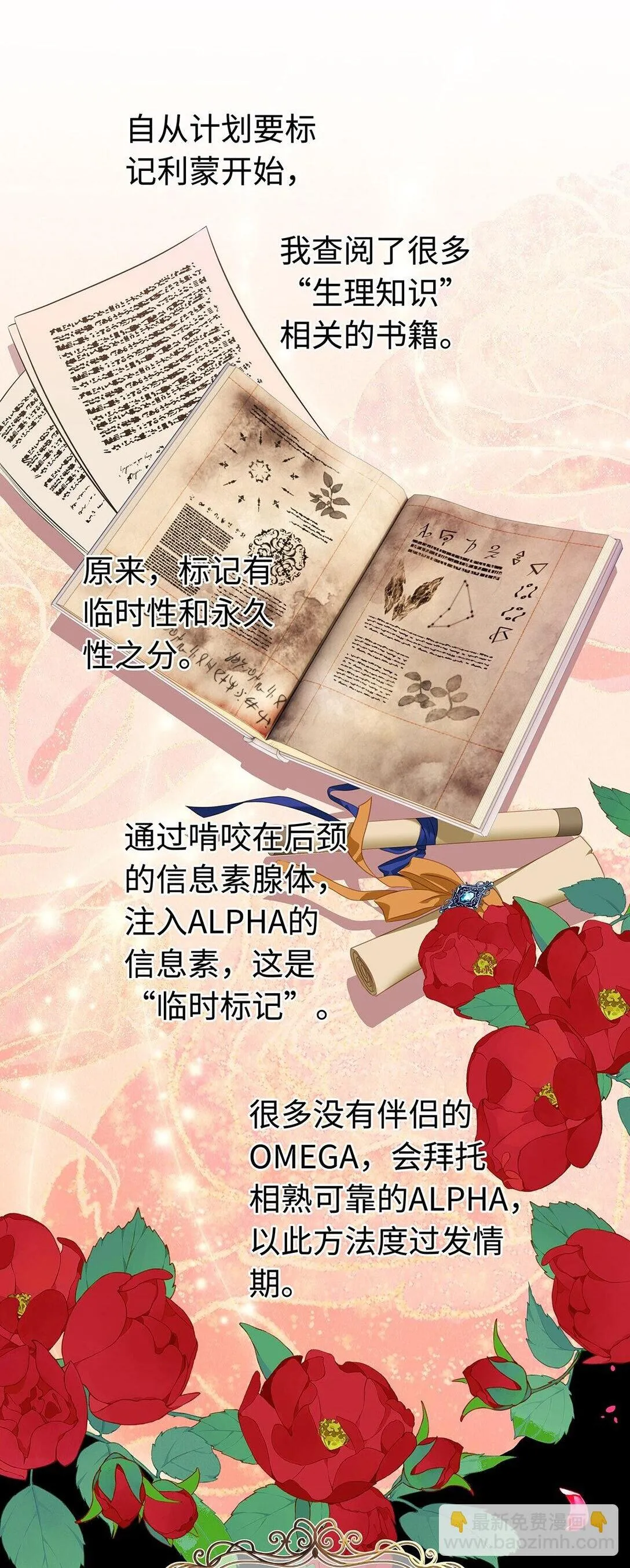 31 他是ALPHA37