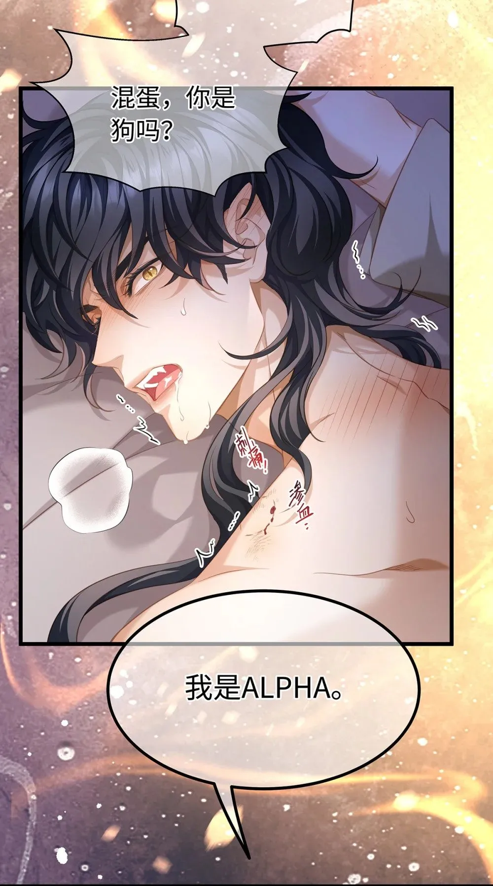 31 他是ALPHA12