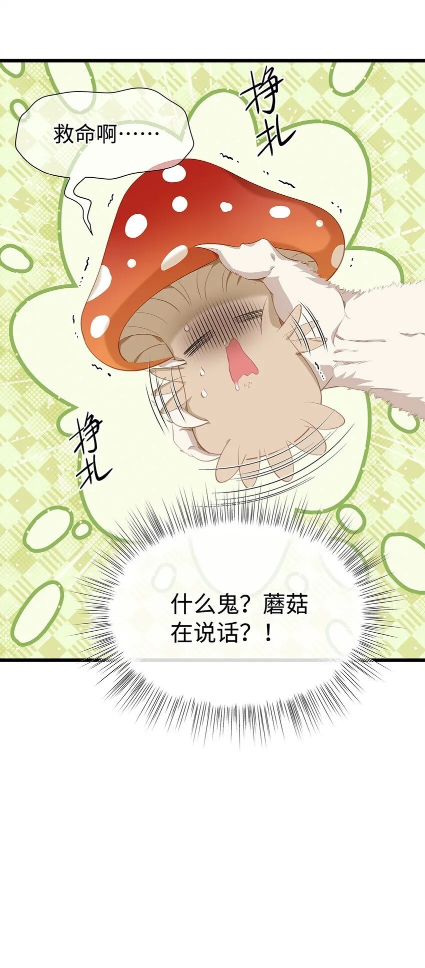 14 蘑菇会说话？29