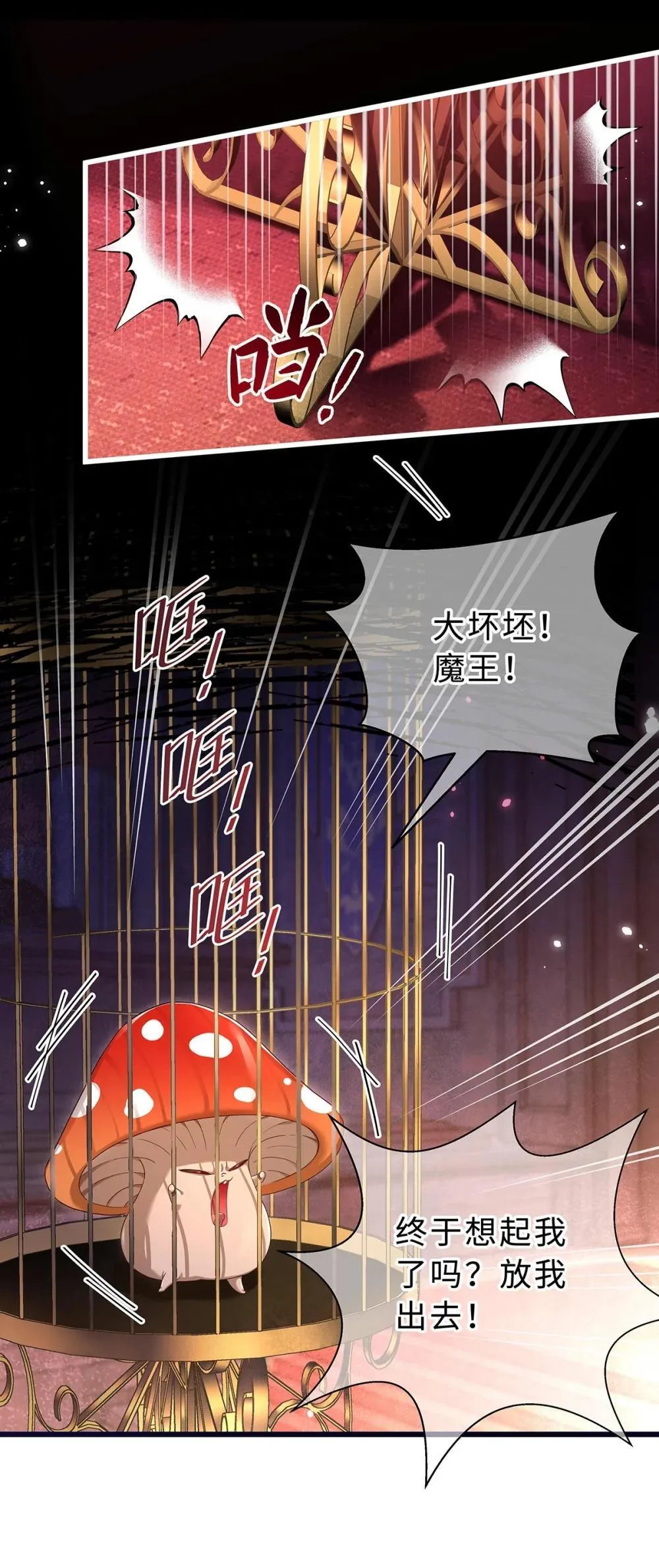 51 真假蘑菇14
