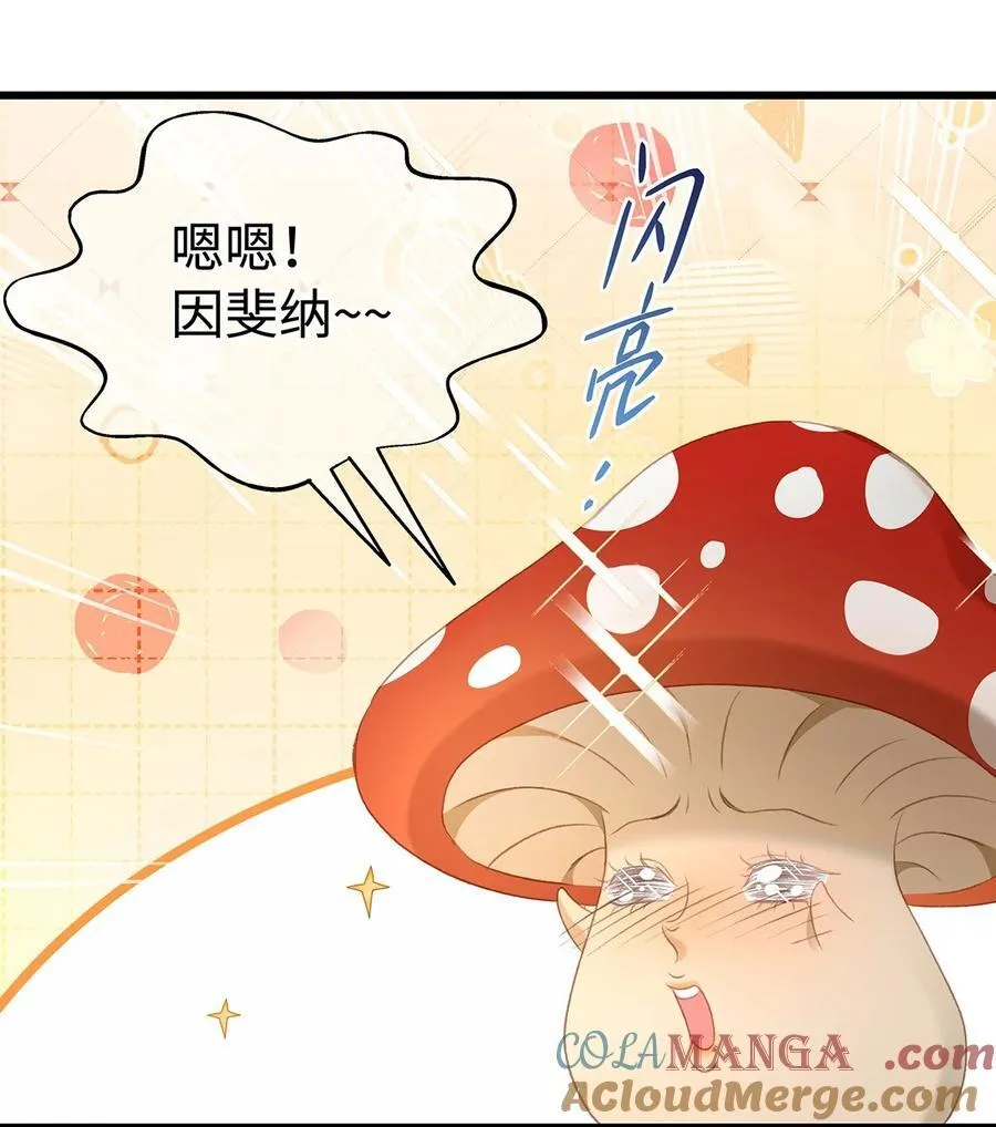 36 保护？诅咒？2