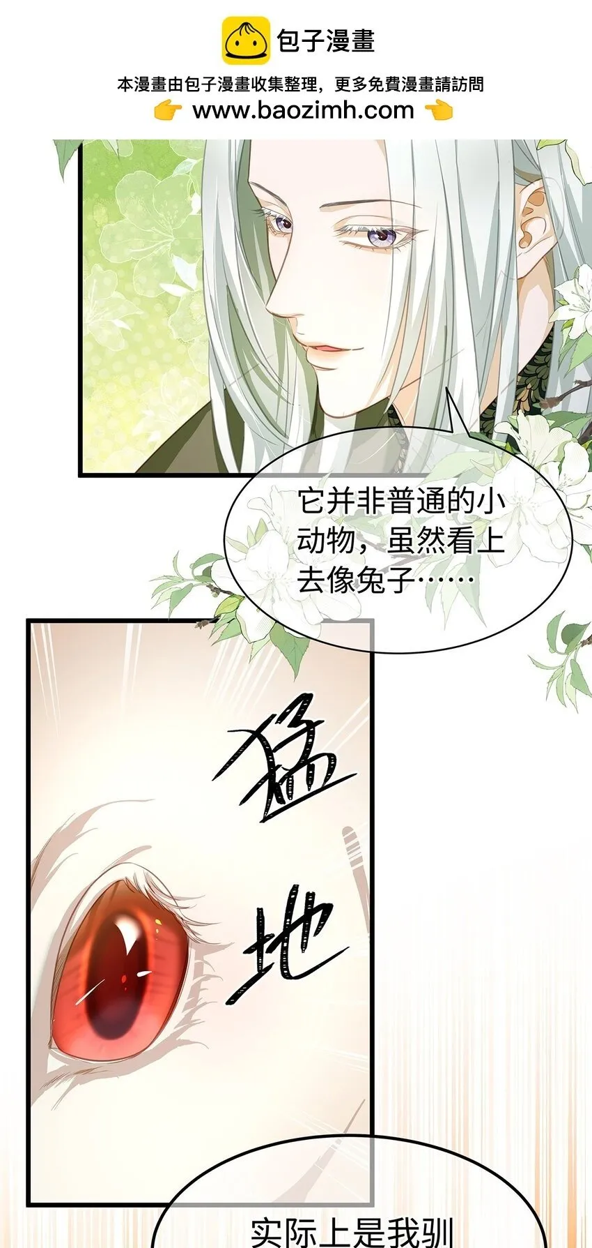 14 蘑菇会说话？9