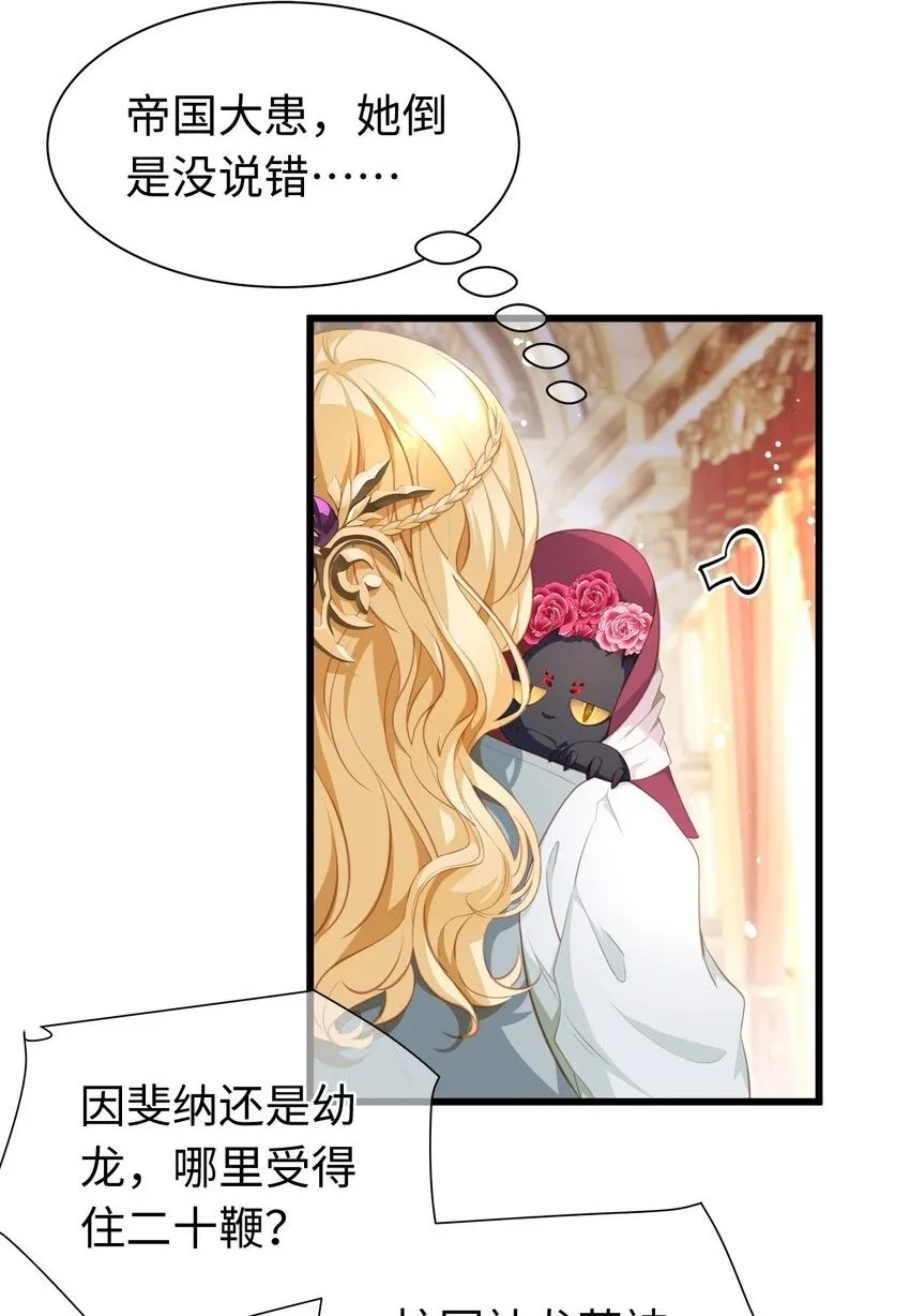 05 SSR一发入魂！1