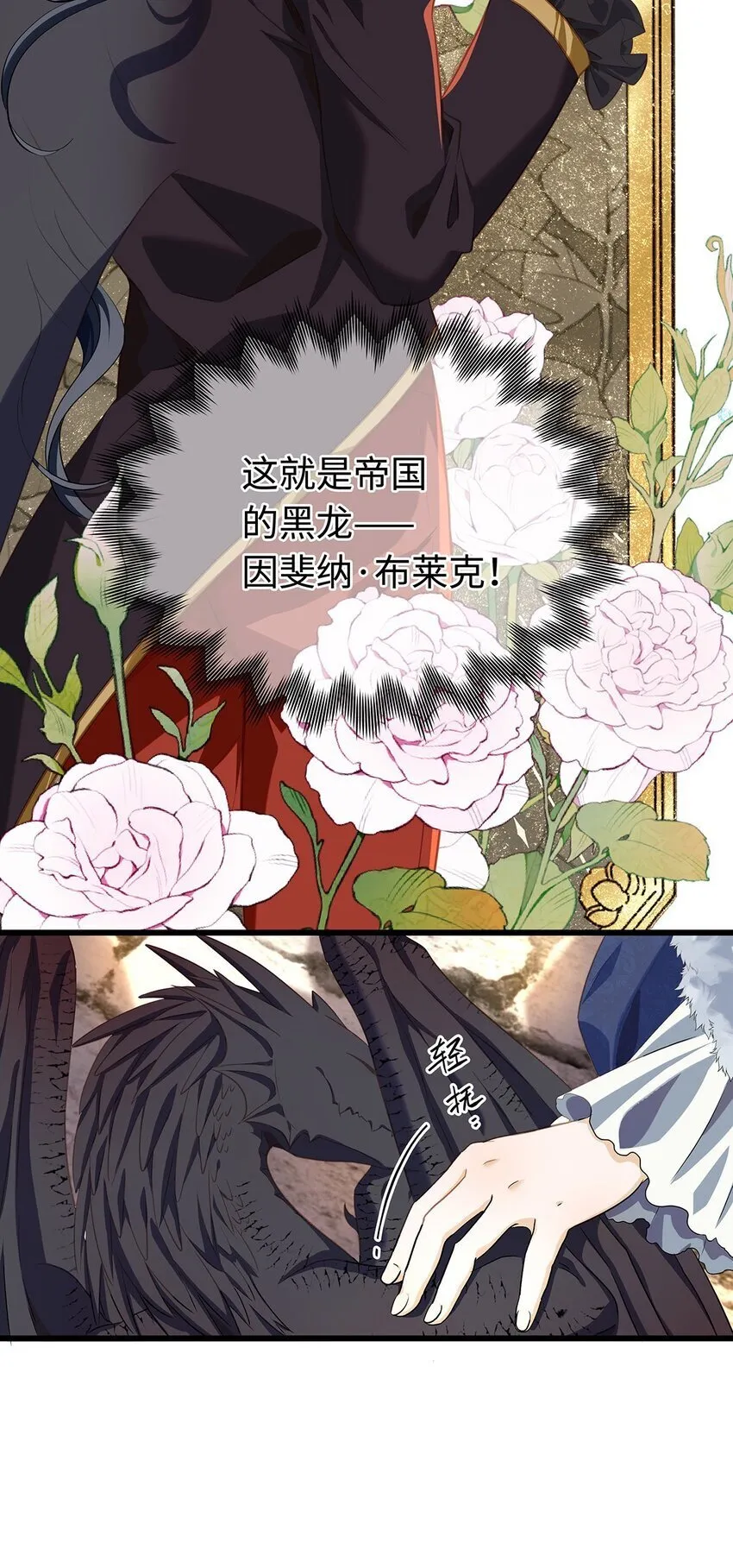 11 龙的信息素4