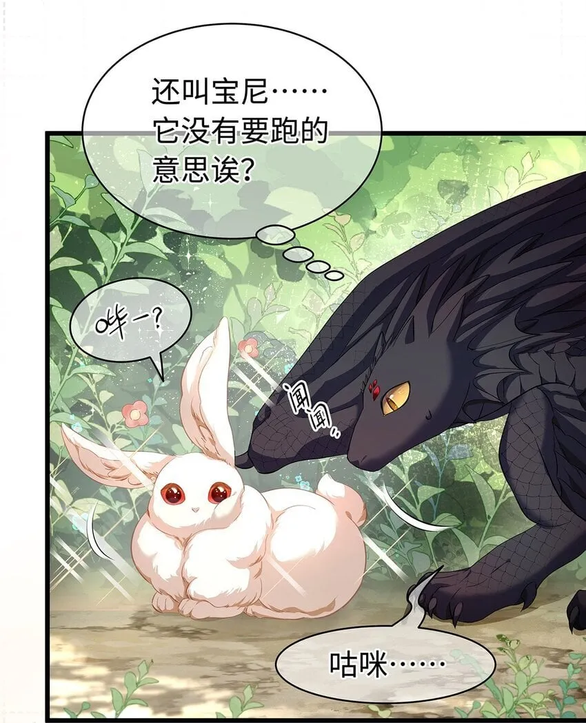 14 蘑菇会说话？6
