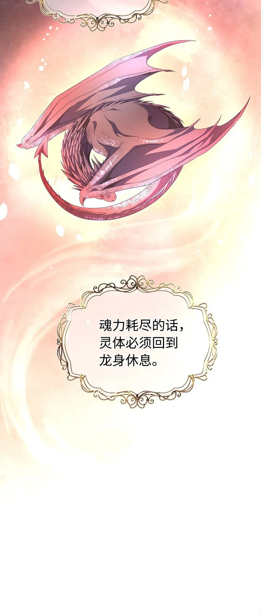 11 龙的信息素24