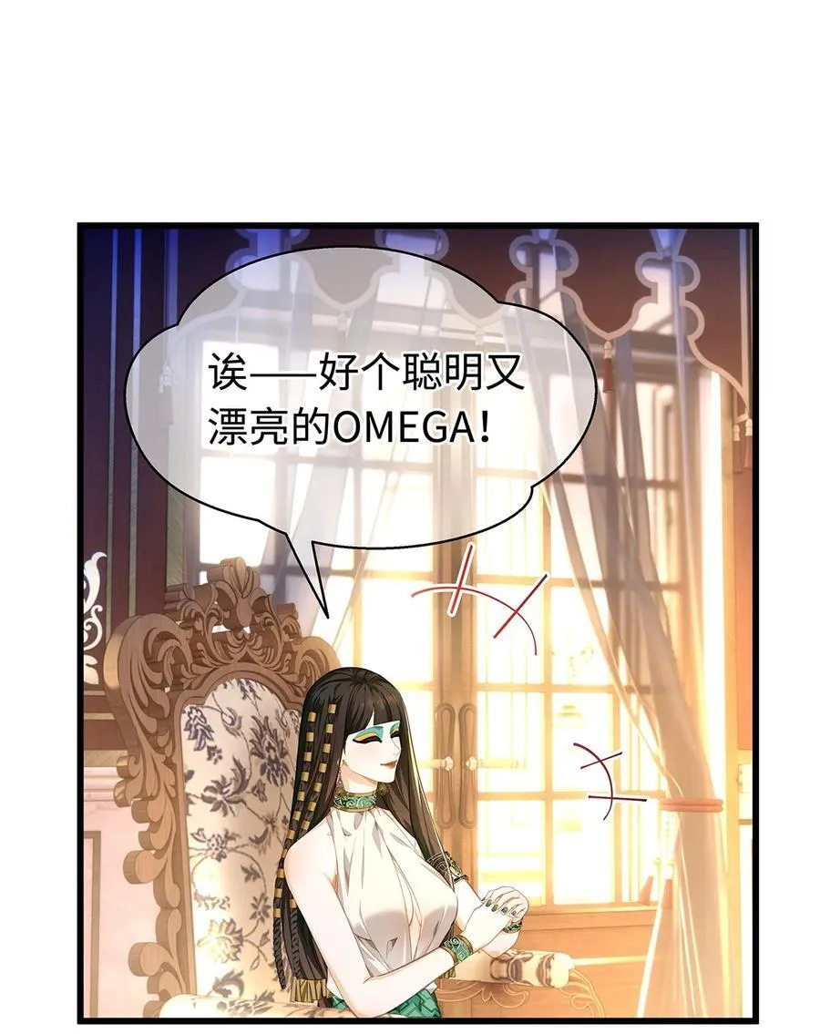 34 ALPHA的担当35