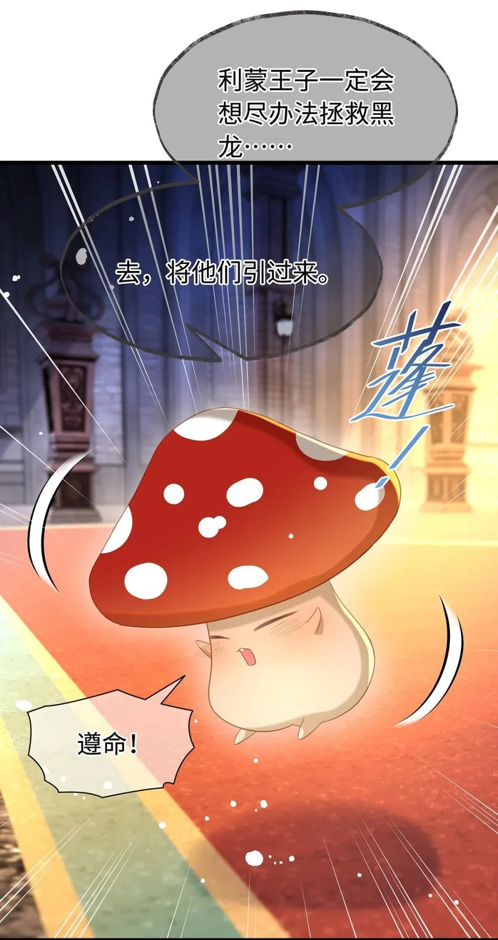 51 真假蘑菇20