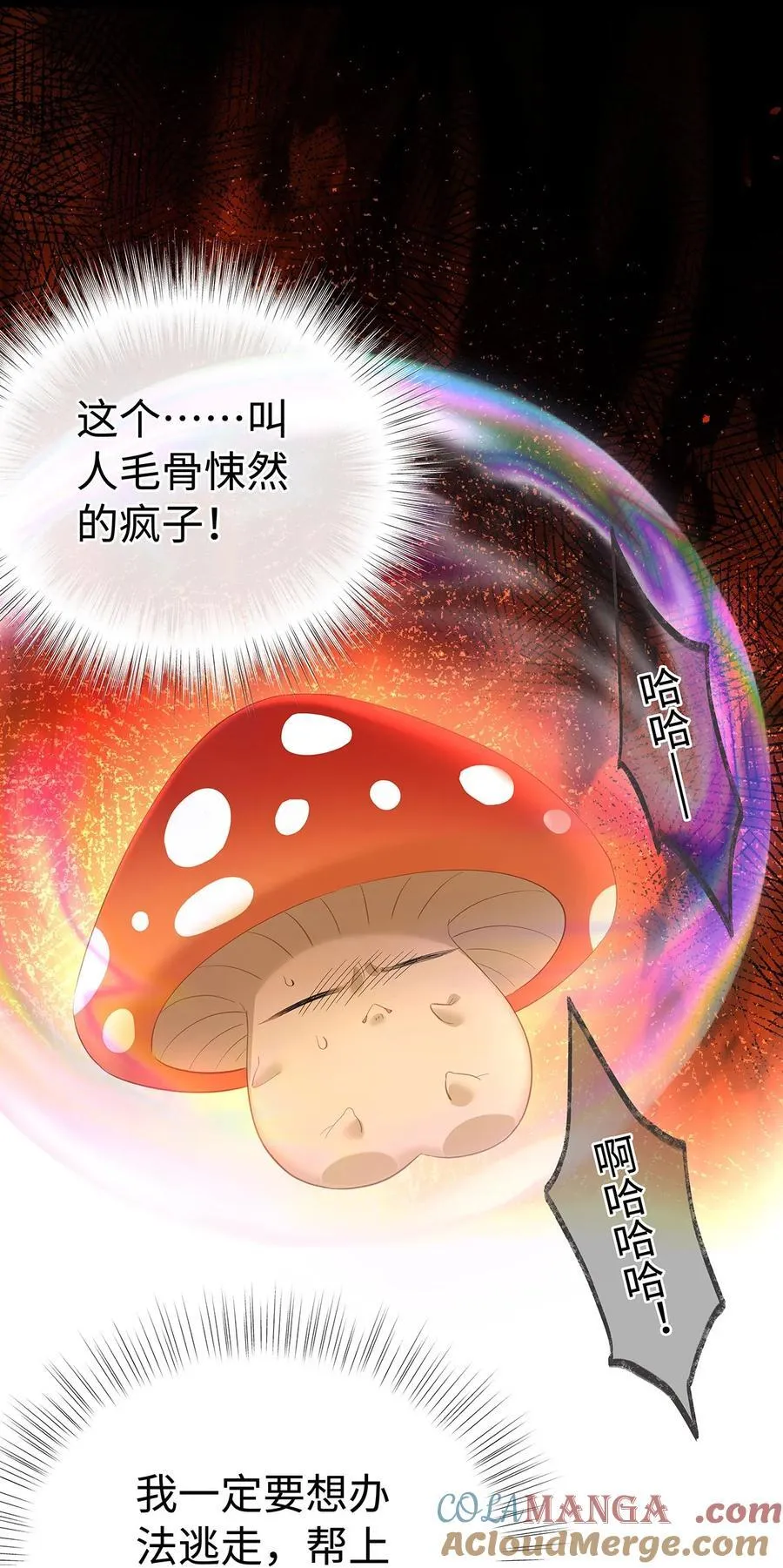 55 你到底是谁24