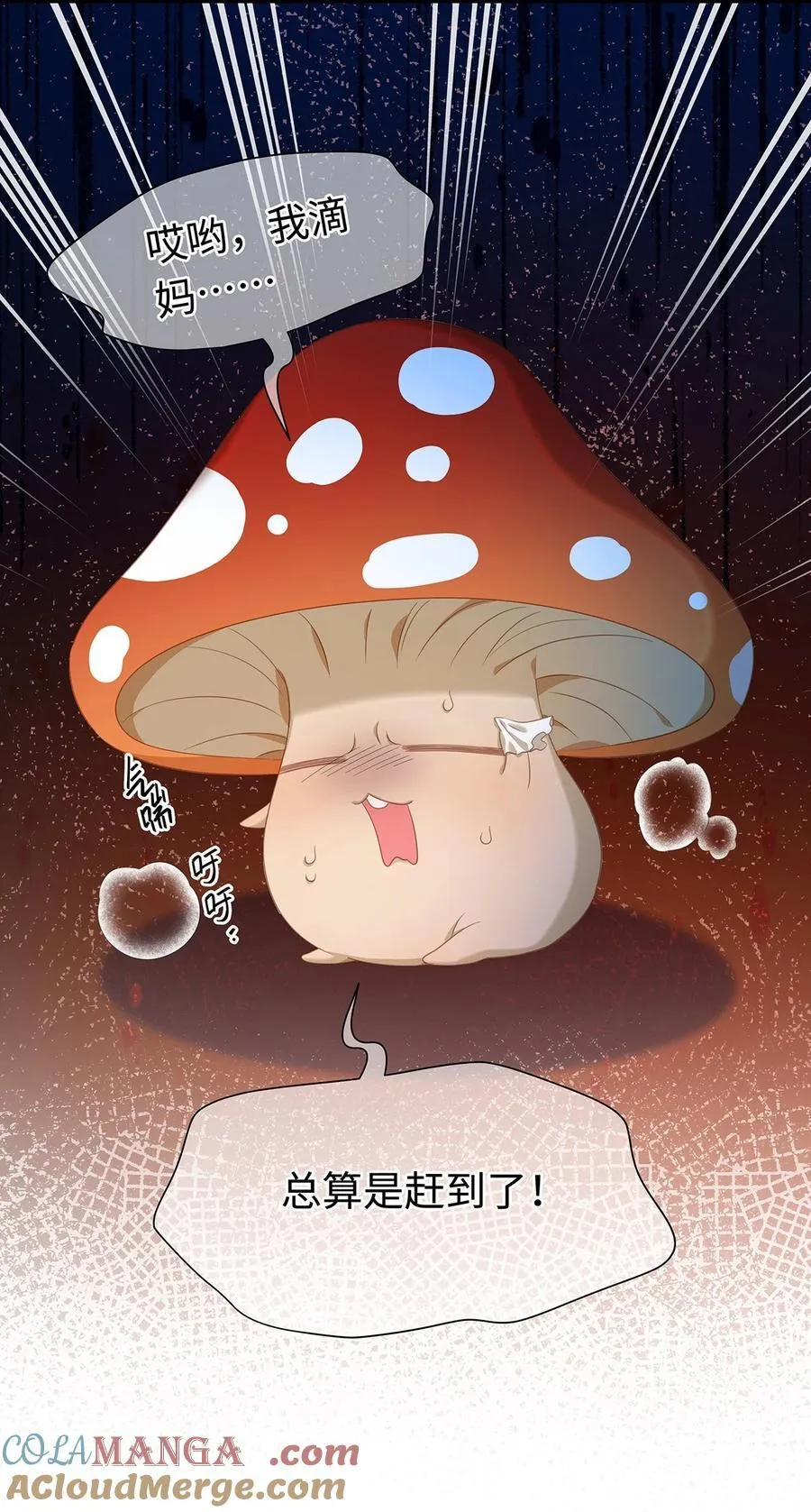 35 真正要欺骗的人45