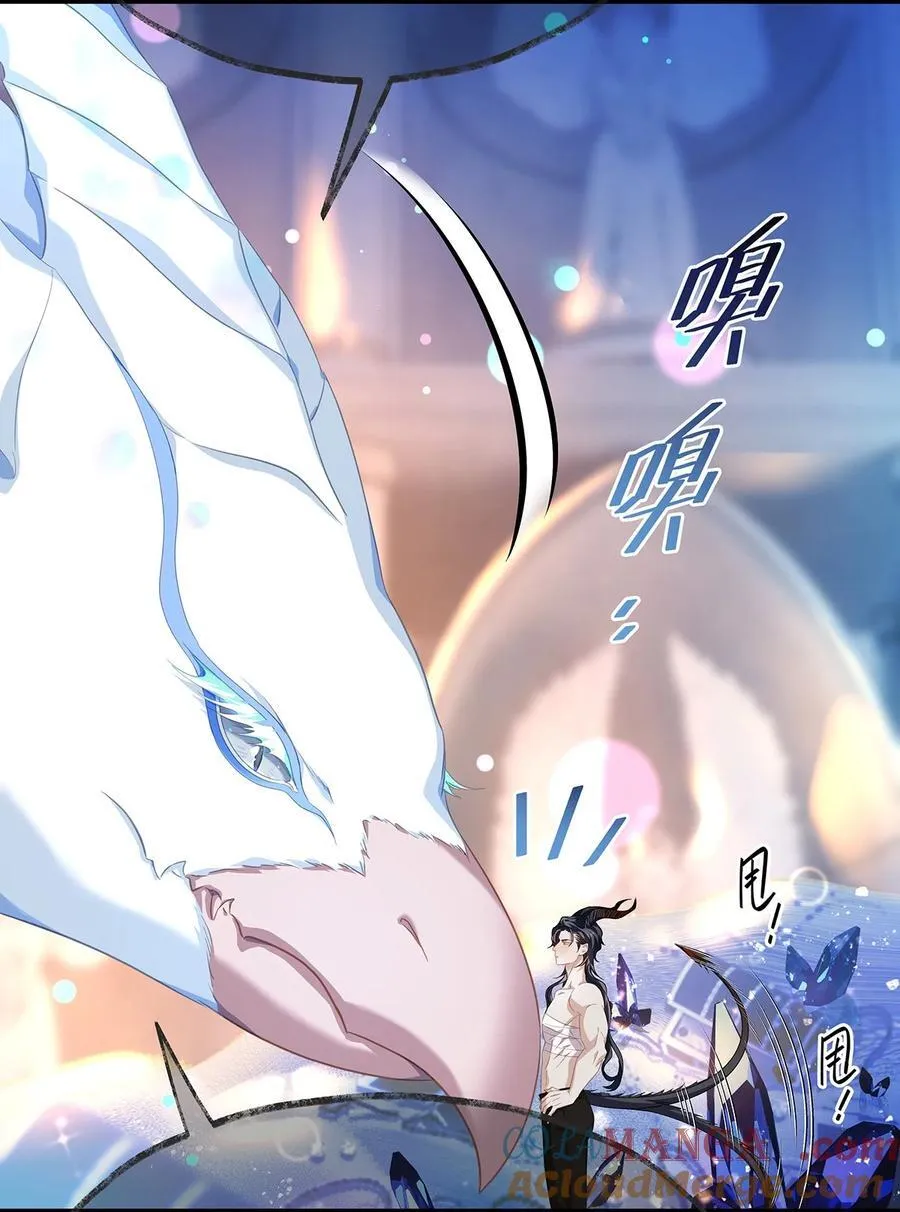 41 像宝石般重要26