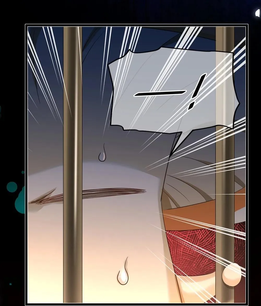51 真假蘑菇18