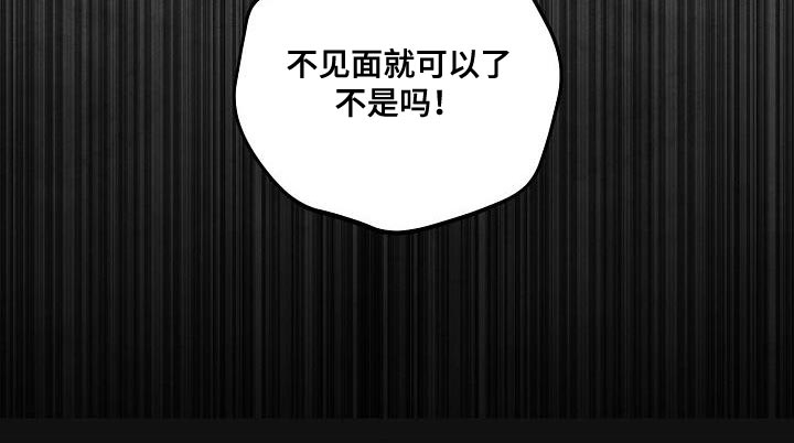 第17章：不见面就可以了23