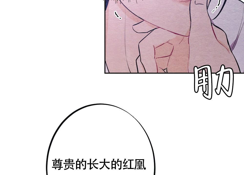 第11话9