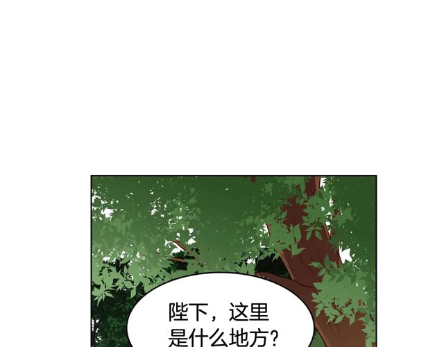 第119话 你要好好的，等我91
