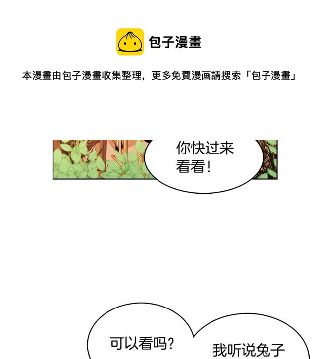 第117话 远远地看着你84