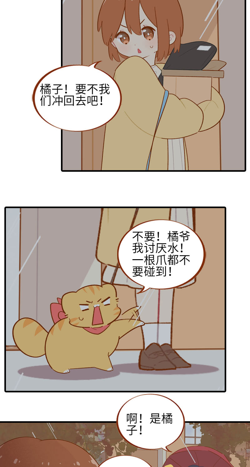 第54话 又是你——雪球！5