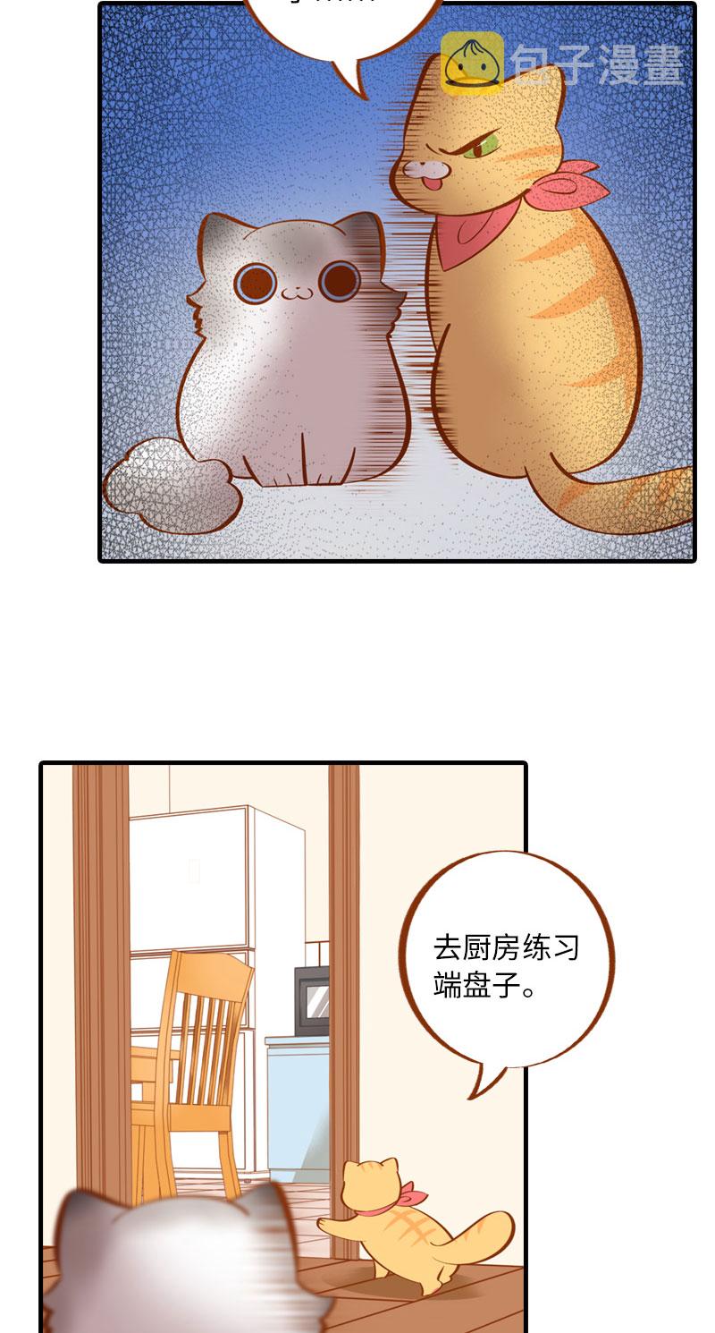 第4话 差点去猫咖打工8